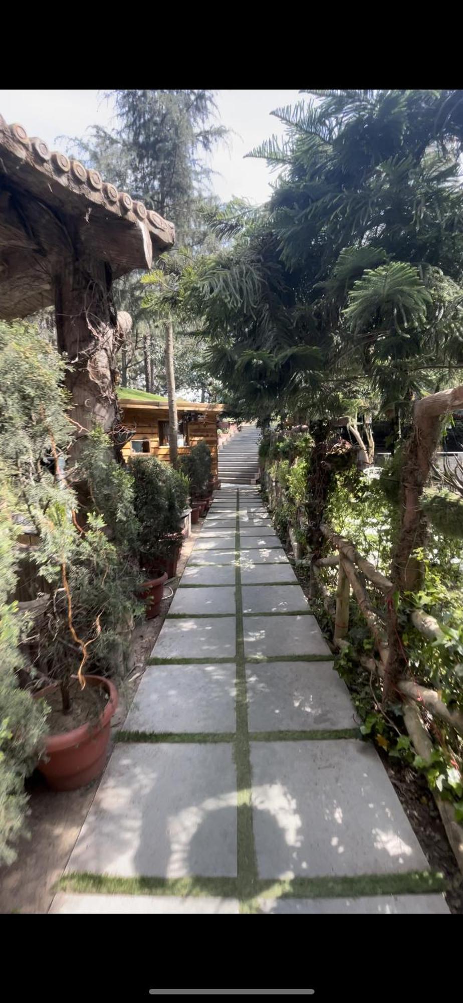 Kasauli Castle Resort Exterior photo