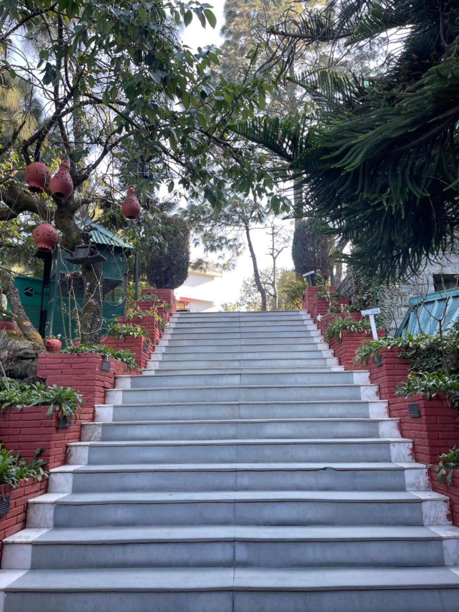 Kasauli Castle Resort Exterior photo